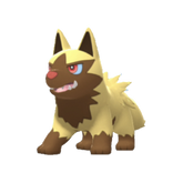 Buy Poochyena in Brilliant Diamond & Shining Pearl